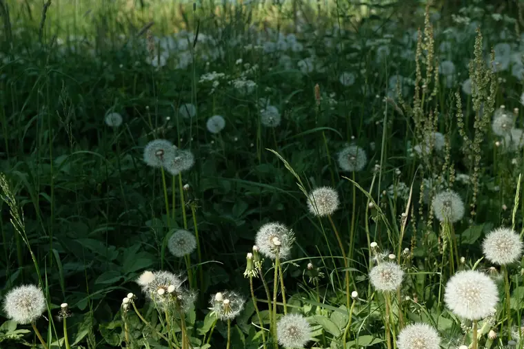 Daily life photo